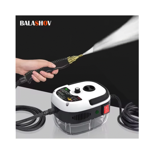 Limpiador a vapor de alta temperatura para coche/220V