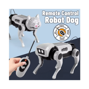 Robot Gato Rc con Control remoto para niños