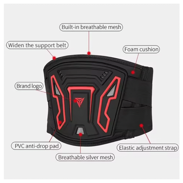 Protector de cintura ajustable para deportes fisicos - Imagen 2